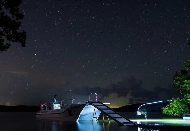 Vieques: Bioluminescent Bay Boat Tour - experience in Puerto Rico