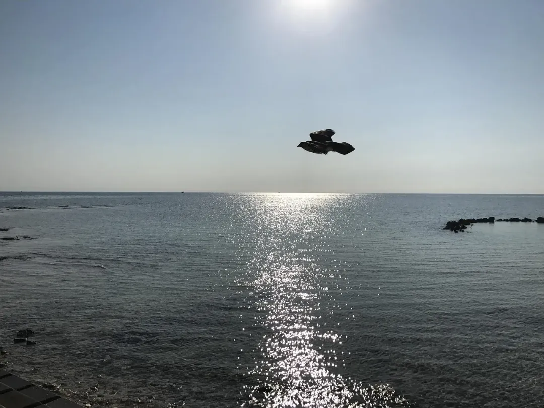 Bahamas - scenic view 3 of the Caribbean island