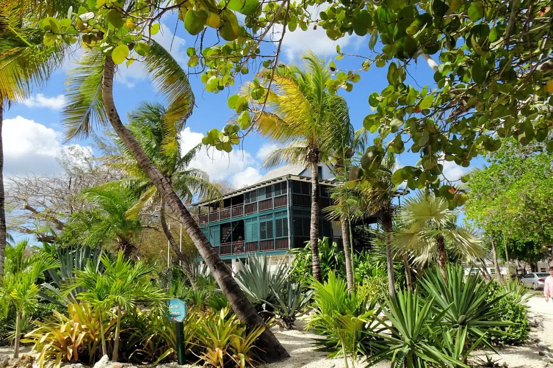 Cayman Islands - scenic view 5 of the Caribbean island