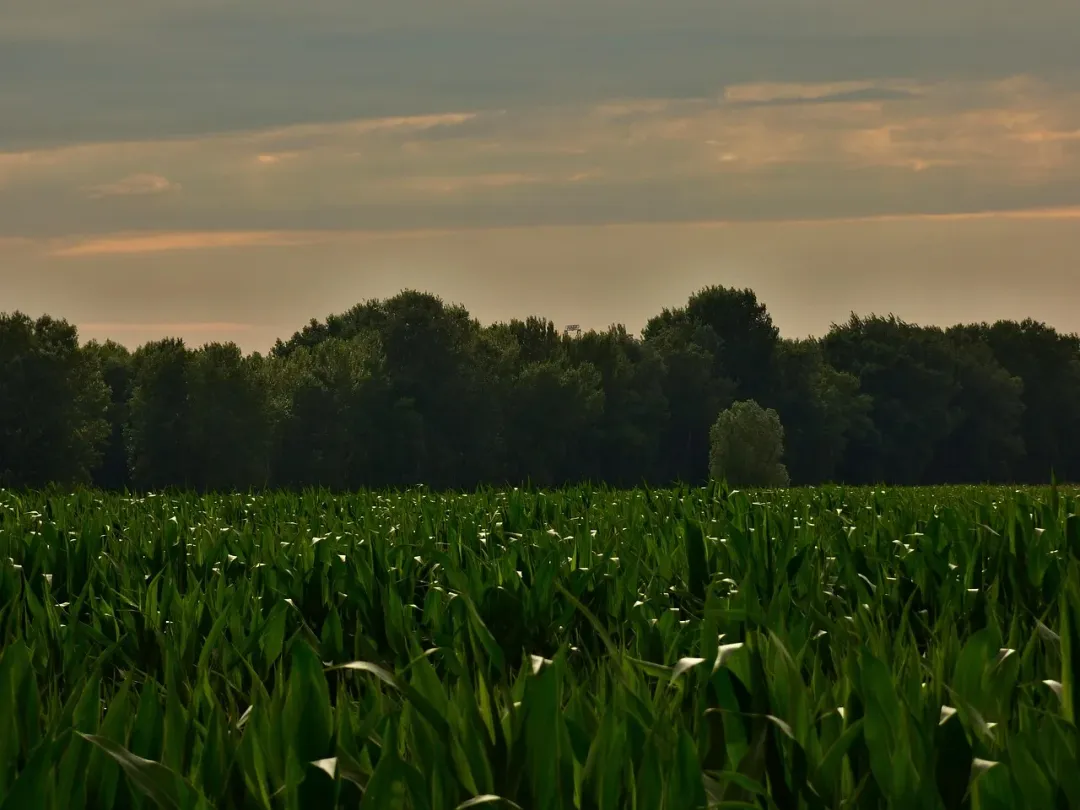 Corn Islands - scenic view 1 of the Caribbean island