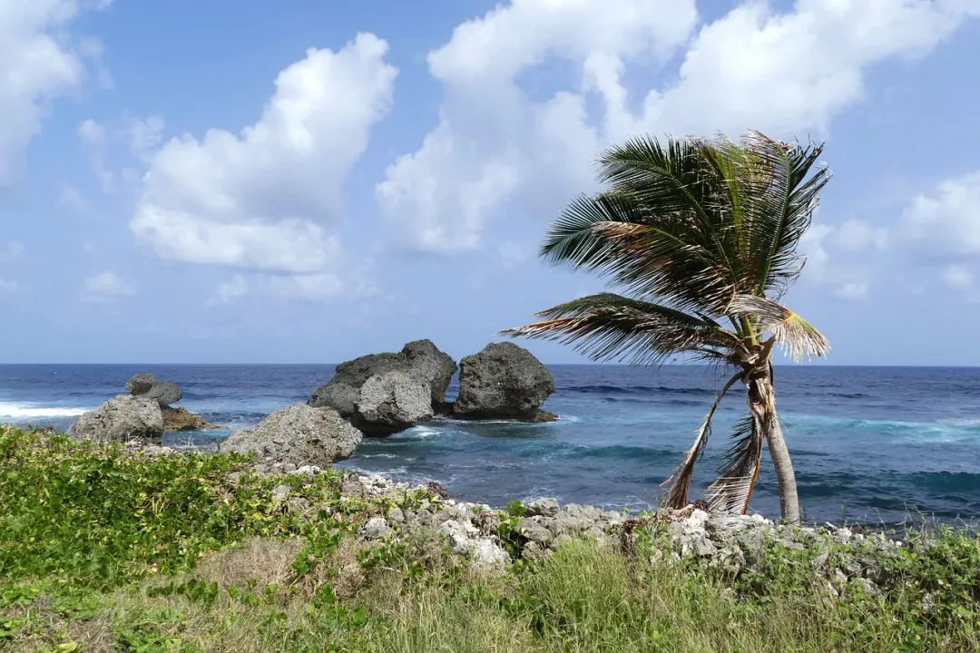 Grand Anse Beach - Grenada, Caribbean beach