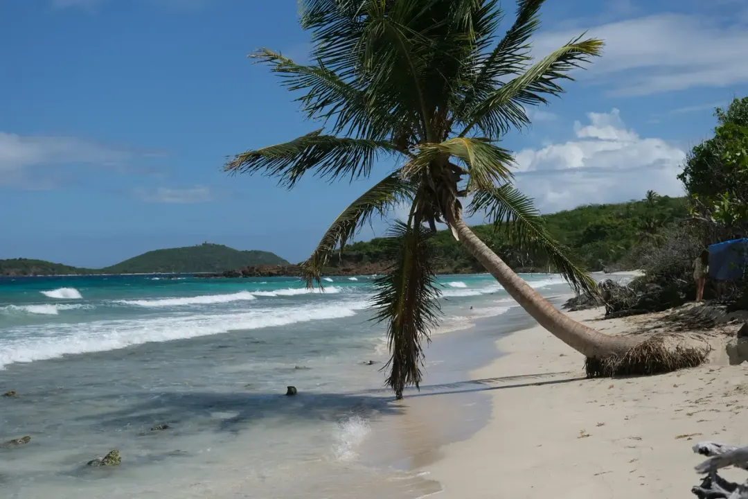Isla Saona - scenic view 5 of the Caribbean island