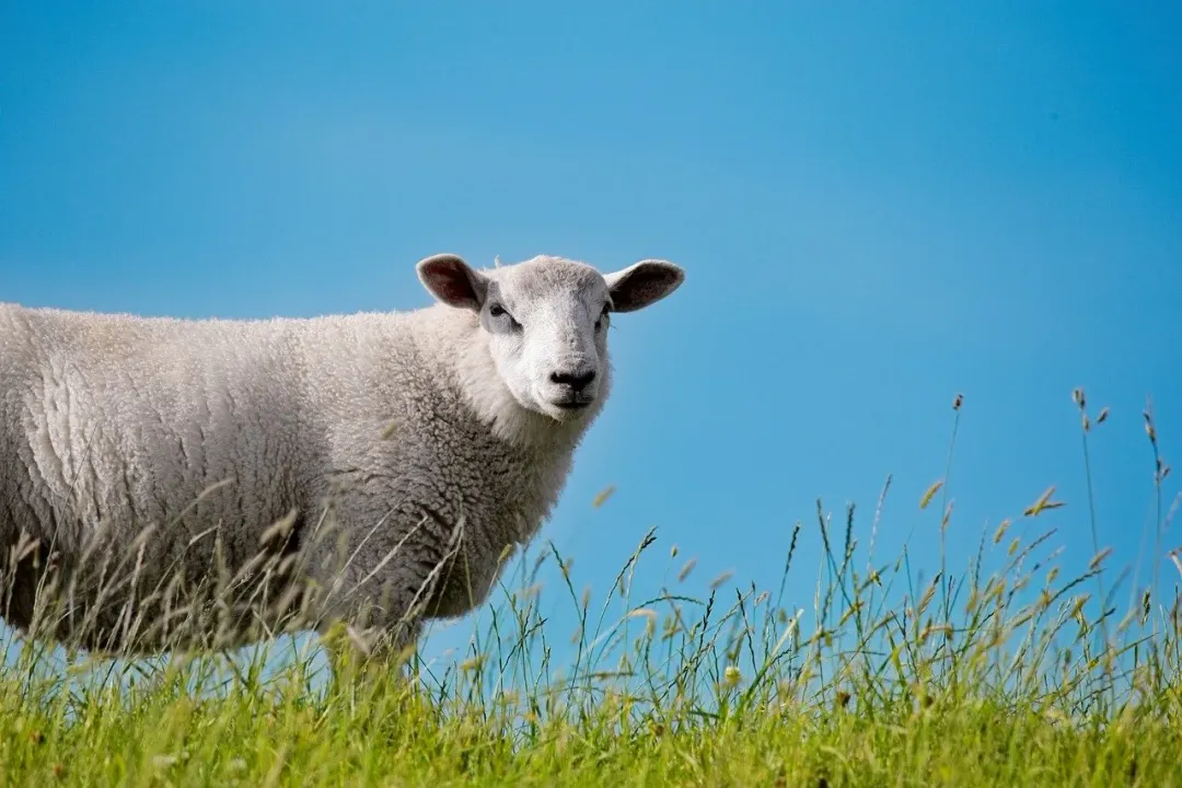Jost Van Dyke - scenic view 5 of the Caribbean island