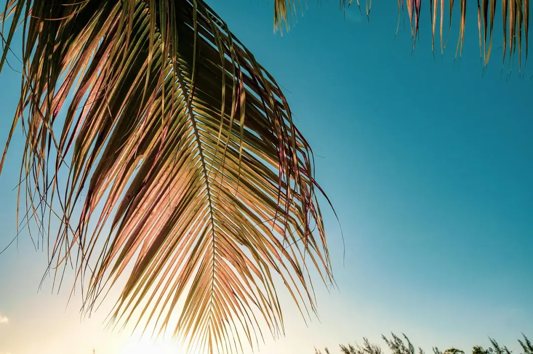 Turks & Caicos - scenic view 4 of the Caribbean island
